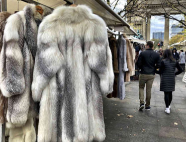 UK could ban fur sale after Brexit