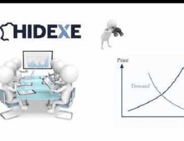 Raw Materials - Hidexe developing cloud-based software to revolutionise the hides, leather and skins industry